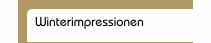 Winterimpressionen