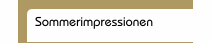 Sommerimpressionen